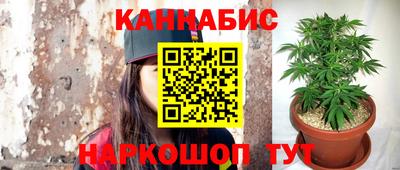 молекула духа Северобайкальск