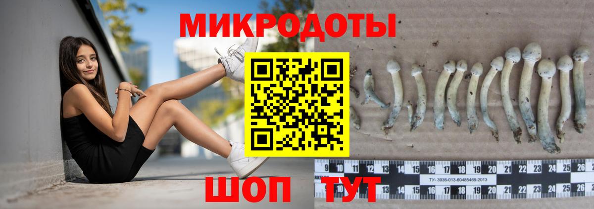 Псилоцибиновые грибы GOLDEN TEACHER Нягань