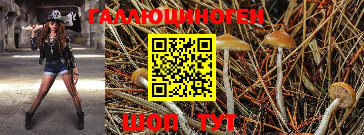 закладки  Галлюциногенные грибы Psilocybe  Вход с VPN  Нягань 